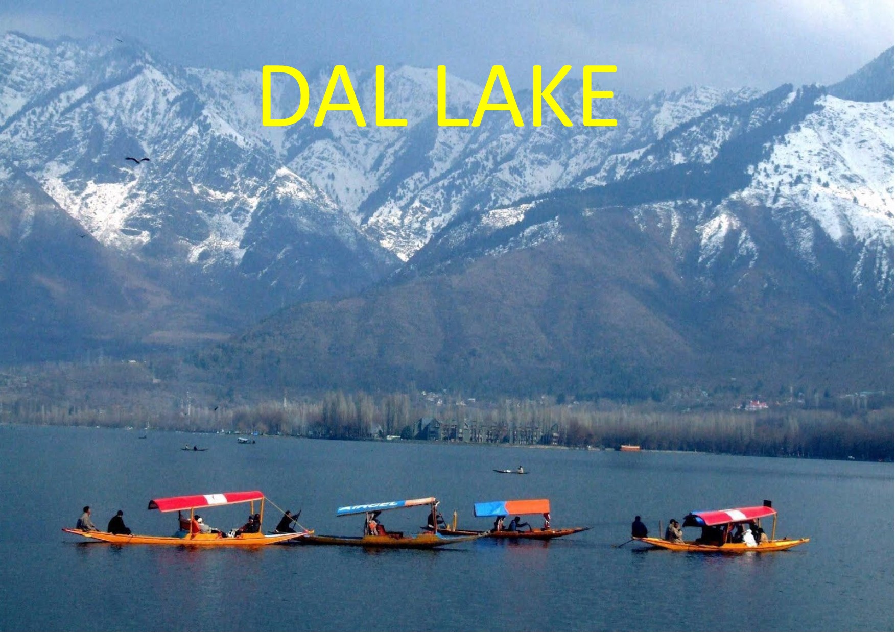 Dal Lake