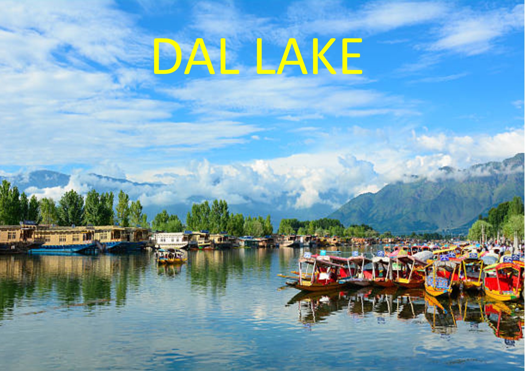 Dal lake