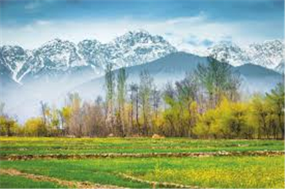Srinagar - Gulmarg - Pahalgam